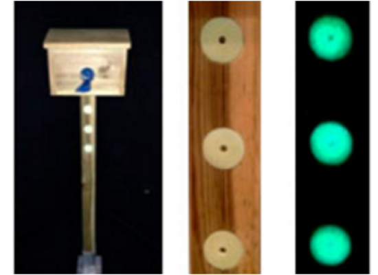 Dispensadores caninos